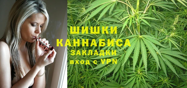 ALPHA PVP Бородино